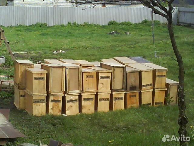 Магазин Пчеловодства В Краснодаре