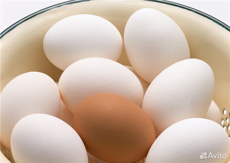 Яйцо куриное фермерское домашнее купить на Зозу.ру - фотография № 2
