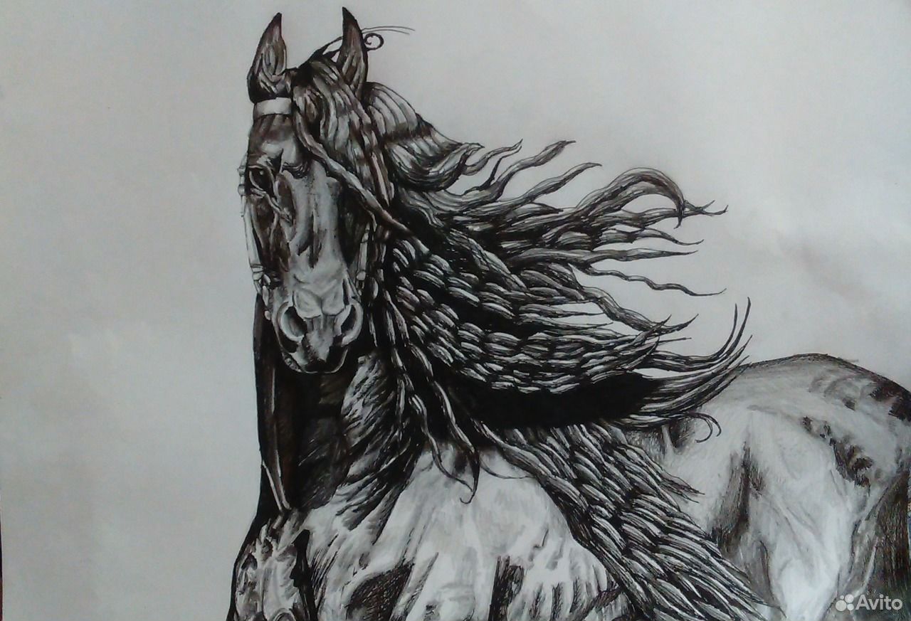 Фризская лошадь карандашом