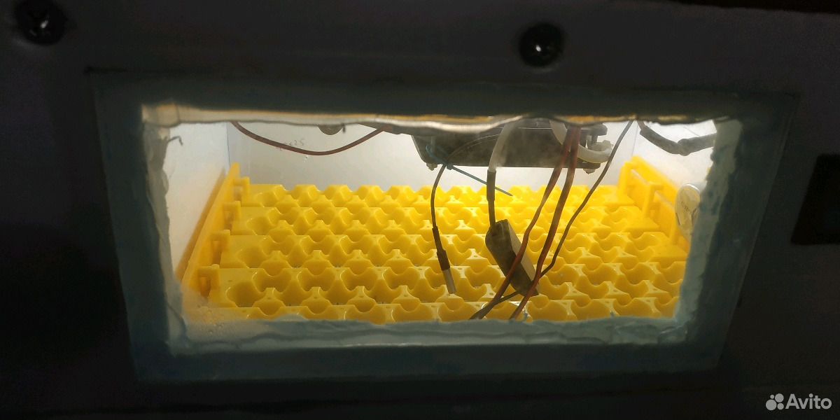 Инкубатор на 154 перепелиных яйца купить на Зозу.ру - фотография № 2