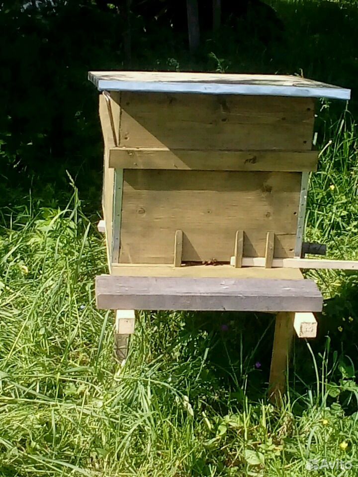 Продам домик(и) с пчелами(семьй) купить на Зозу.ру - фотография № 1
