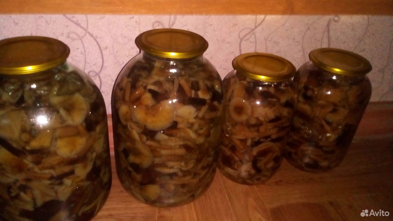 Маринованные грибы опята купить на Зозу.ру - фотография № 2
