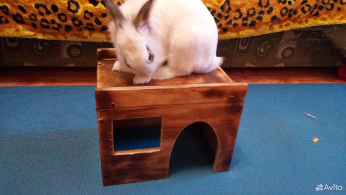 Домик для кролика или хомячков купить на Зозу.ру - фотография № 4
