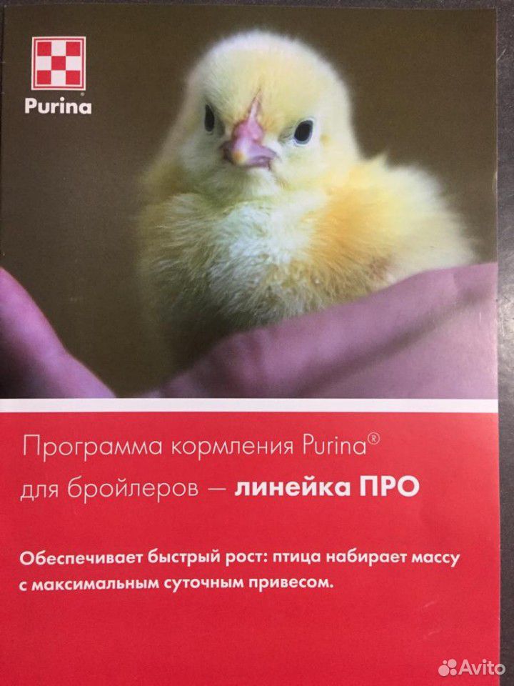 Корм Пурина для с/х животных и птиц купить на Зозу.ру - фотография № 2
