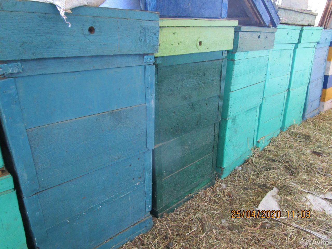 Пчелосемьи, пчелопакеты, ульи б/у купить на Зозу.ру - фотография № 3
