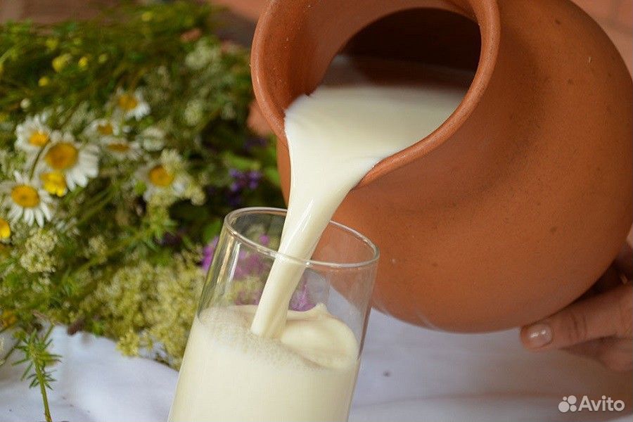 Молоко купить на Зозу.ру - фотография № 1