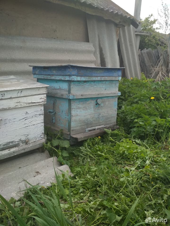 Пчеловодство. Улья-лежаки купить на Зозу.ру - фотография № 3