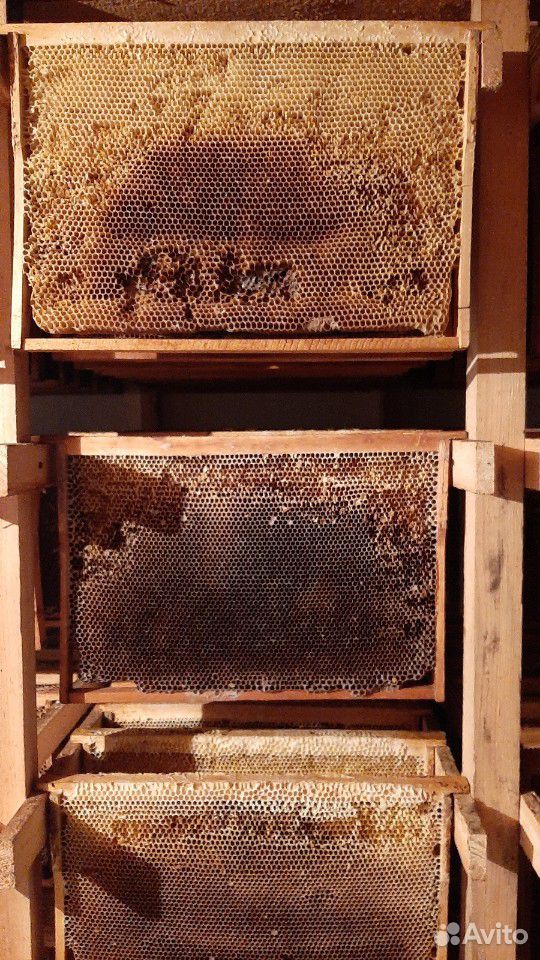 Сушь для пчёл, рамки с вощиной купить на Зозу.ру - фотография № 1