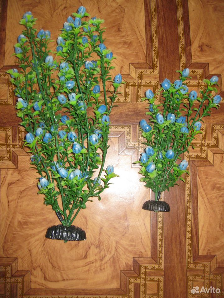 Растения для аквариума (наборы) купить на Зозу.ру - фотография № 3