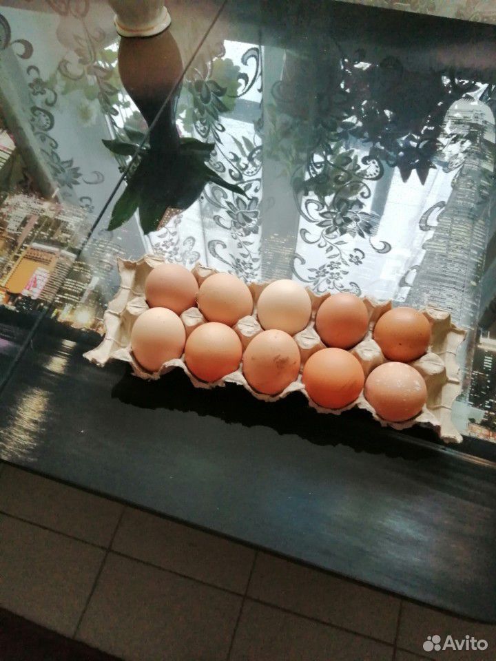 Яйца домашних кур купить на Зозу.ру - фотография № 1