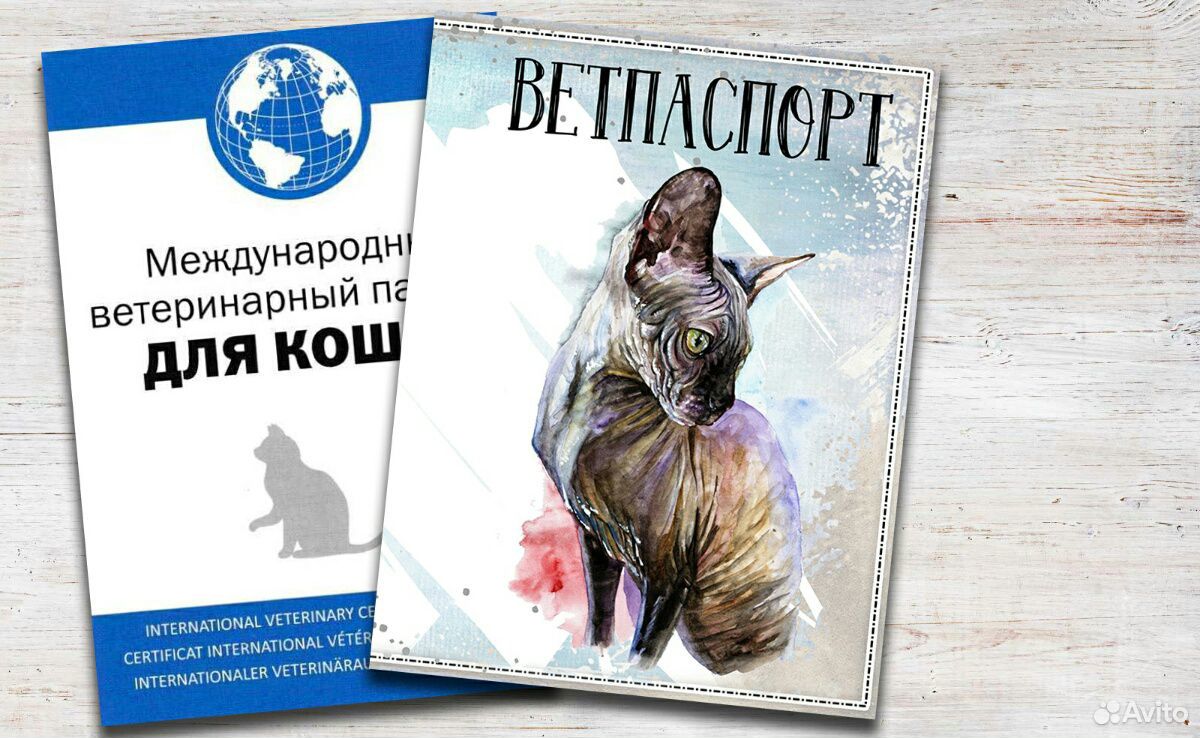 Ветеринарный паспорт купить на Зозу.ру - фотография № 7