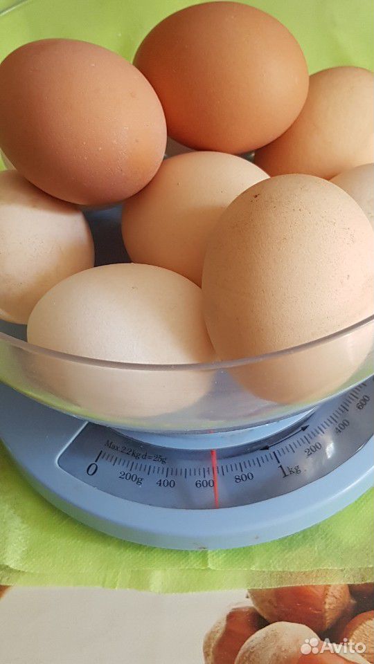 Яйца домашние куриные купить на Зозу.ру - фотография № 2
