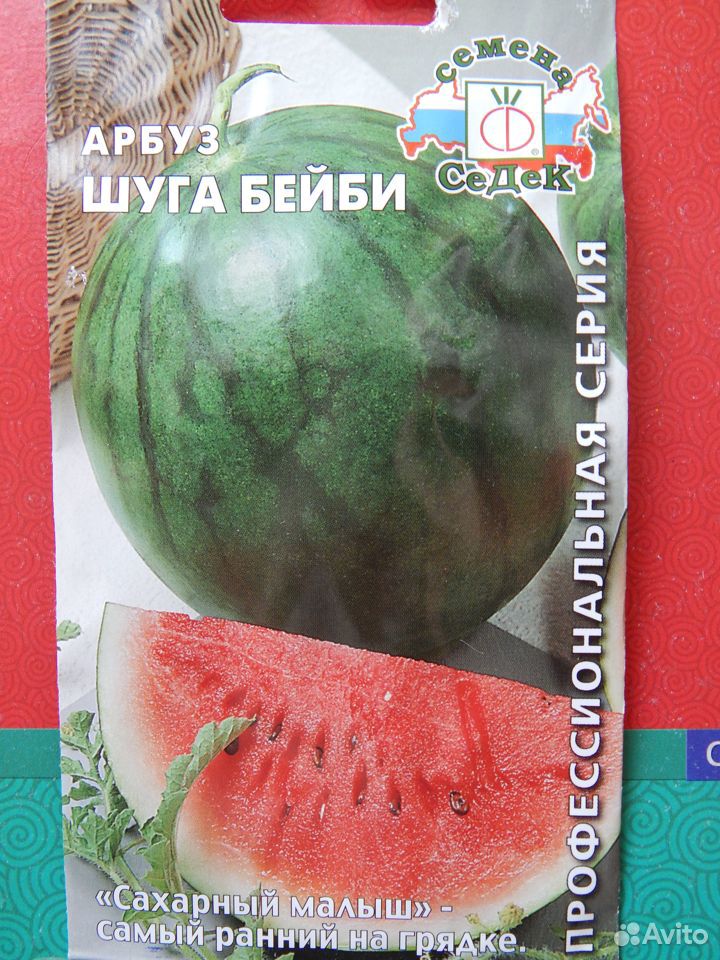 Саженцы раннеспелого арбуза Sugar Baby купить на Зозу.ру - фотография № 2
