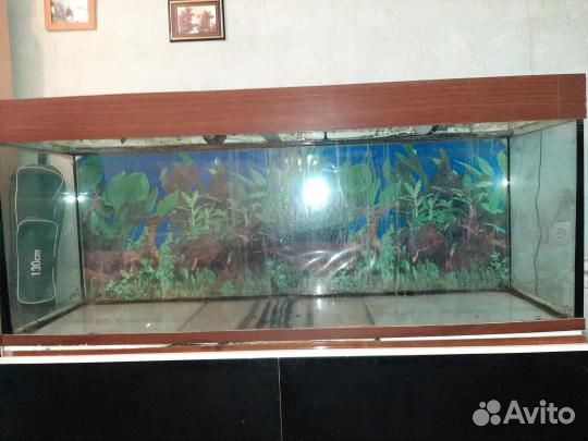 Аквариум для рыб купить на Зозу.ру - фотография № 1