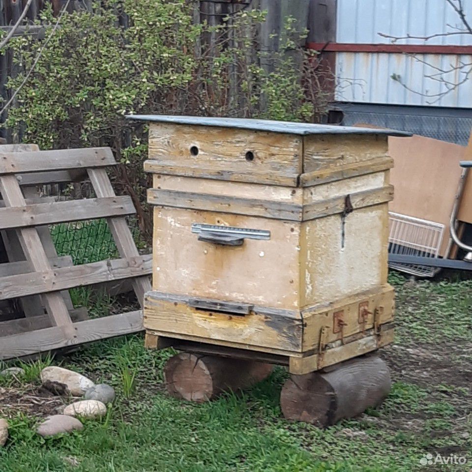 Улей с пчёлами купить на Зозу.ру - фотография № 2
