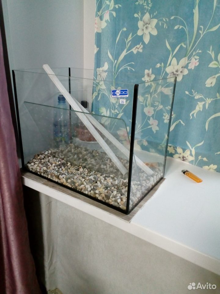Рыбки с аквариумом купить на Зозу.ру - фотография № 1