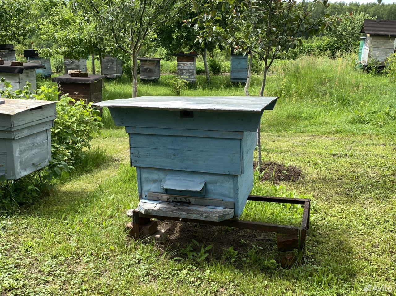 Пчёлы с ульями 12 и 7 рамок 3 Шт купить на Зозу.ру - фотография № 1
