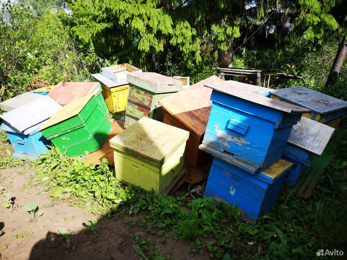 Улей для пчёл, улья, без рам купить на Зозу.ру - фотография № 5