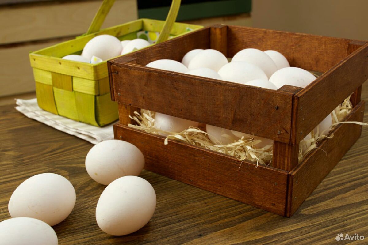 Яйцо инкубационное купить на Зозу.ру - фотография № 3