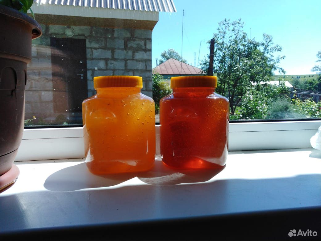 Свежий мёд с акации купить на Зозу.ру - фотография № 5