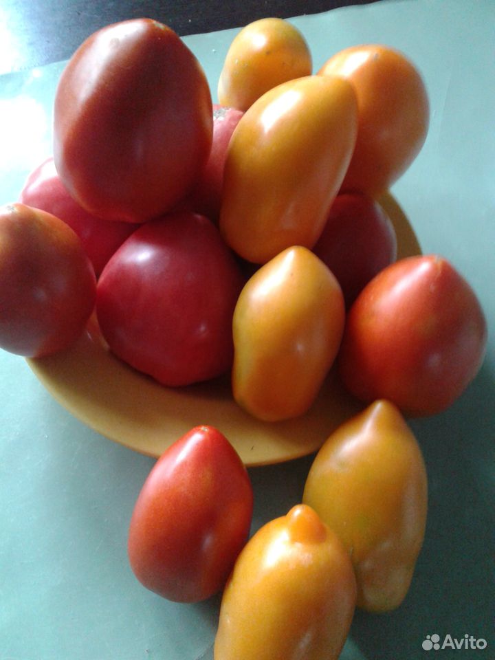 Домашние помидоры, огурцы, кабачки, морковь купить на Зозу.ру - фотография № 1