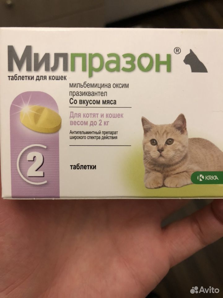 Таблетка от глистов для котёнка до 2 кг купить на Зозу.ру - фотография № 1