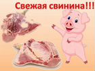 Мясо свинины объявление продам