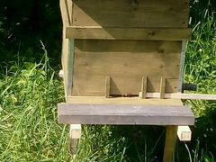 Продам домик(и) с пчелами(семьй)