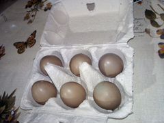 Яйцо фазанье на инкубацию