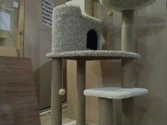 Когтеточка, домик для кошки