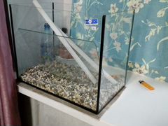 Рыбки с аквариумом