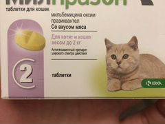 Таблетка от глистов для котёнка до 2 кг
