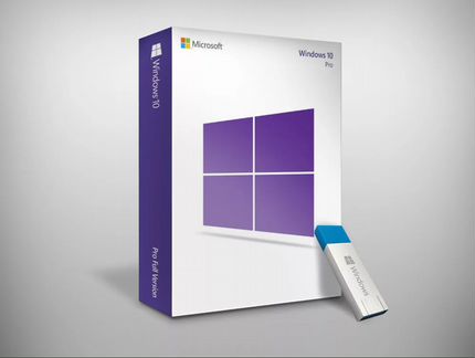 Windows 10 professional + Microsoft Office 2019