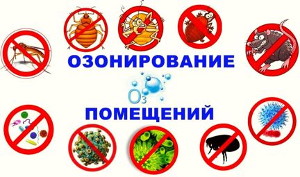 Уничтожение и травля насекомых озоном