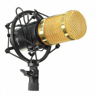 Мткрофон BM-800