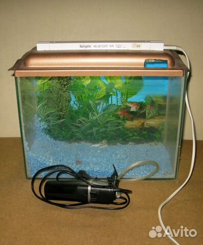 Аквариум