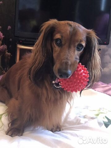 Приглашаем на вязку