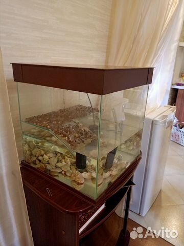 Аквариум для черепах