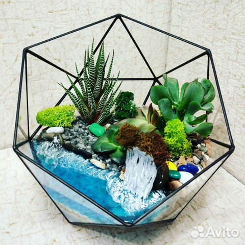 Флорариумы, моссариумы