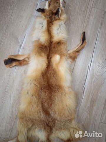 Шкура лисы