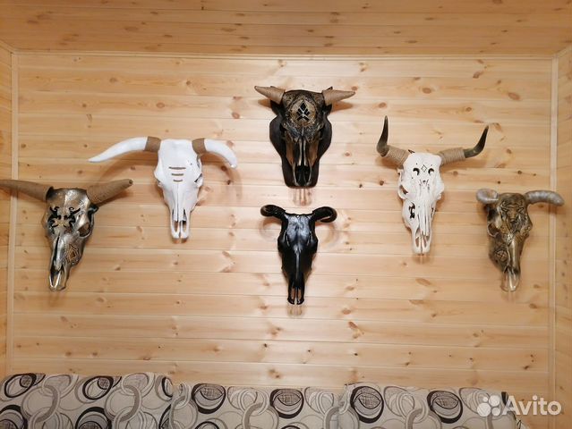 Коллекция черепов