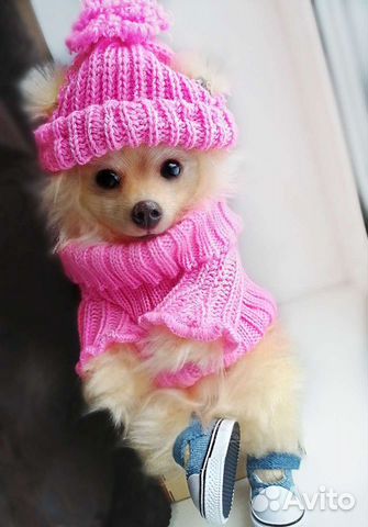 Игрушки на заказ собаки кошки