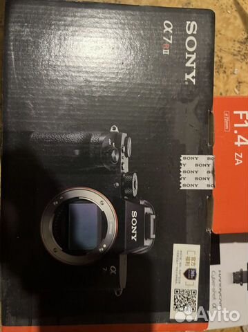 Sony a7 r2