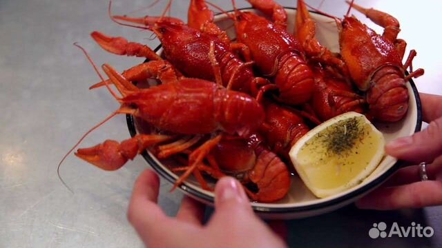 Раки волжские.Розница.Опт