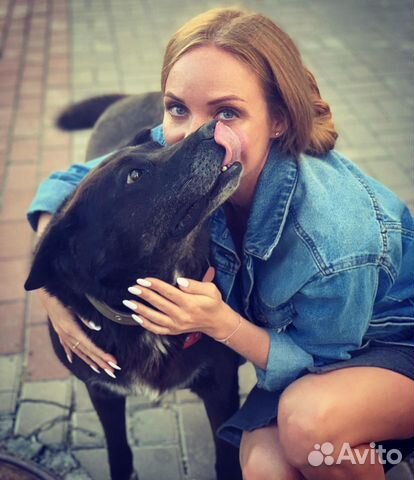 Домашняя передержка собак & кошек LUX + выгулы