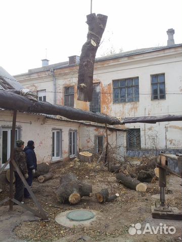 Опиловка обрезка спил кронирование снос деревьев