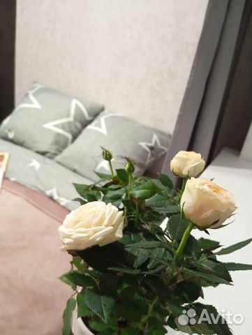 

2-к. квартира, 55 м², 4 кровати
