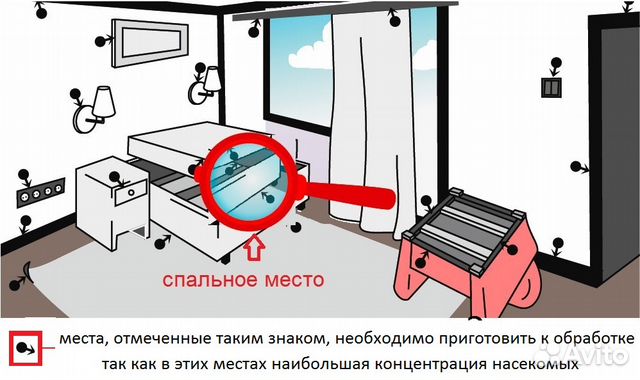 Обработка комнаты от тараканов