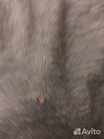 Платье М Платье М