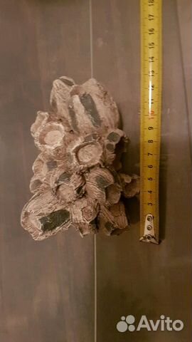 Декор для аквариума или террариума Декор для аквариума или террариума